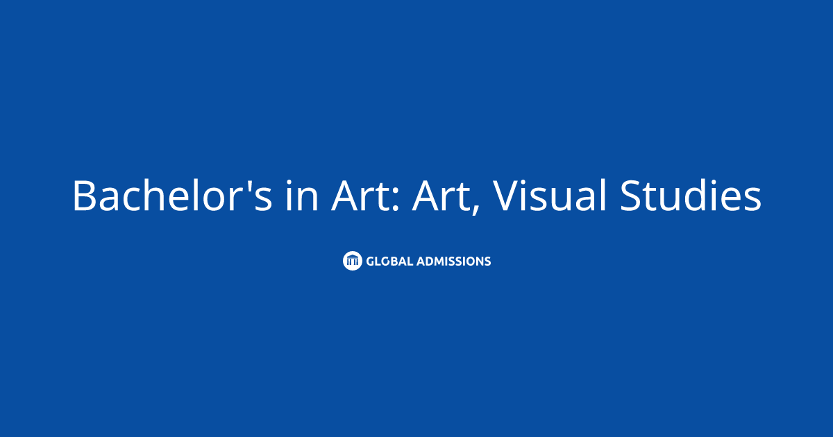 Bachelor's in Art Art, Visual Studies at Northeastern University